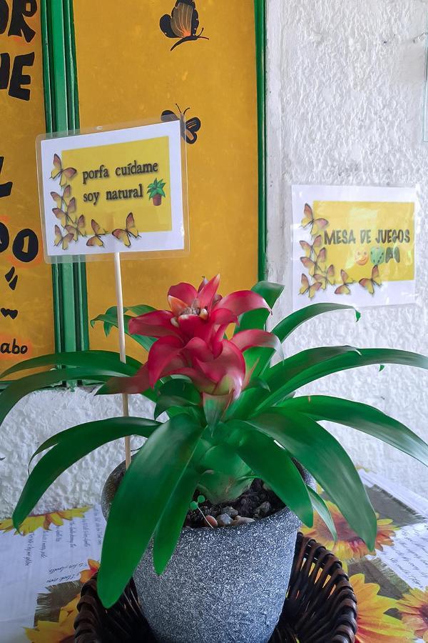 Hostal Gabo Bucaramanga Eksteriør billede